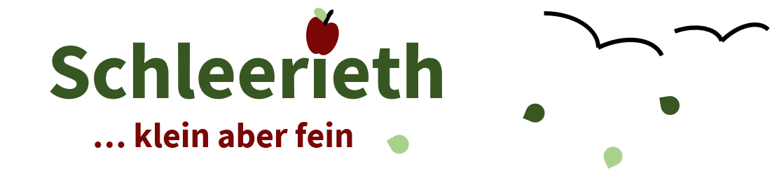 Schleerieth